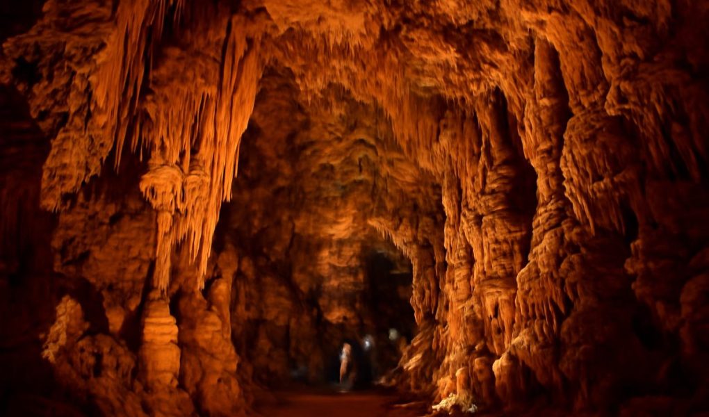 Grotte de Dargilan Meyrueis : Visites, Tarifs et Infos Pratiques