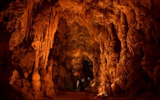 Grotte de Dargilan Meyrueis : Visites, Tarifs et Infos Pratiques