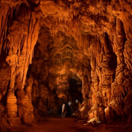 Grotte de Dargilan Meyrueis : Visites, Tarifs et Infos Pratiques