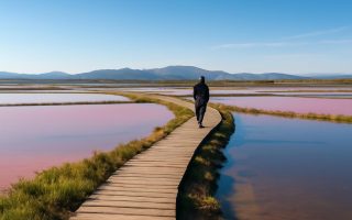 Marais Salants Gruissan : Horaires, Tarifs et Visite