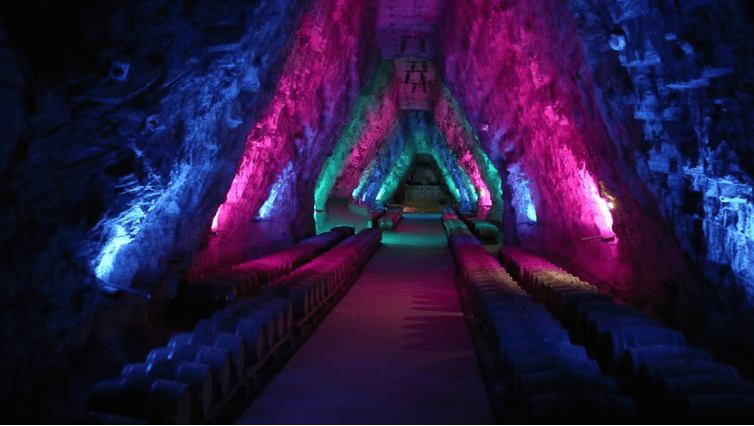 Le spectacle multicolore des tonneaux de vin à Terra Vinea