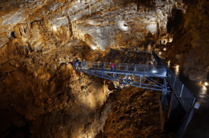 Les recoins des cavernes de Terra Vinea