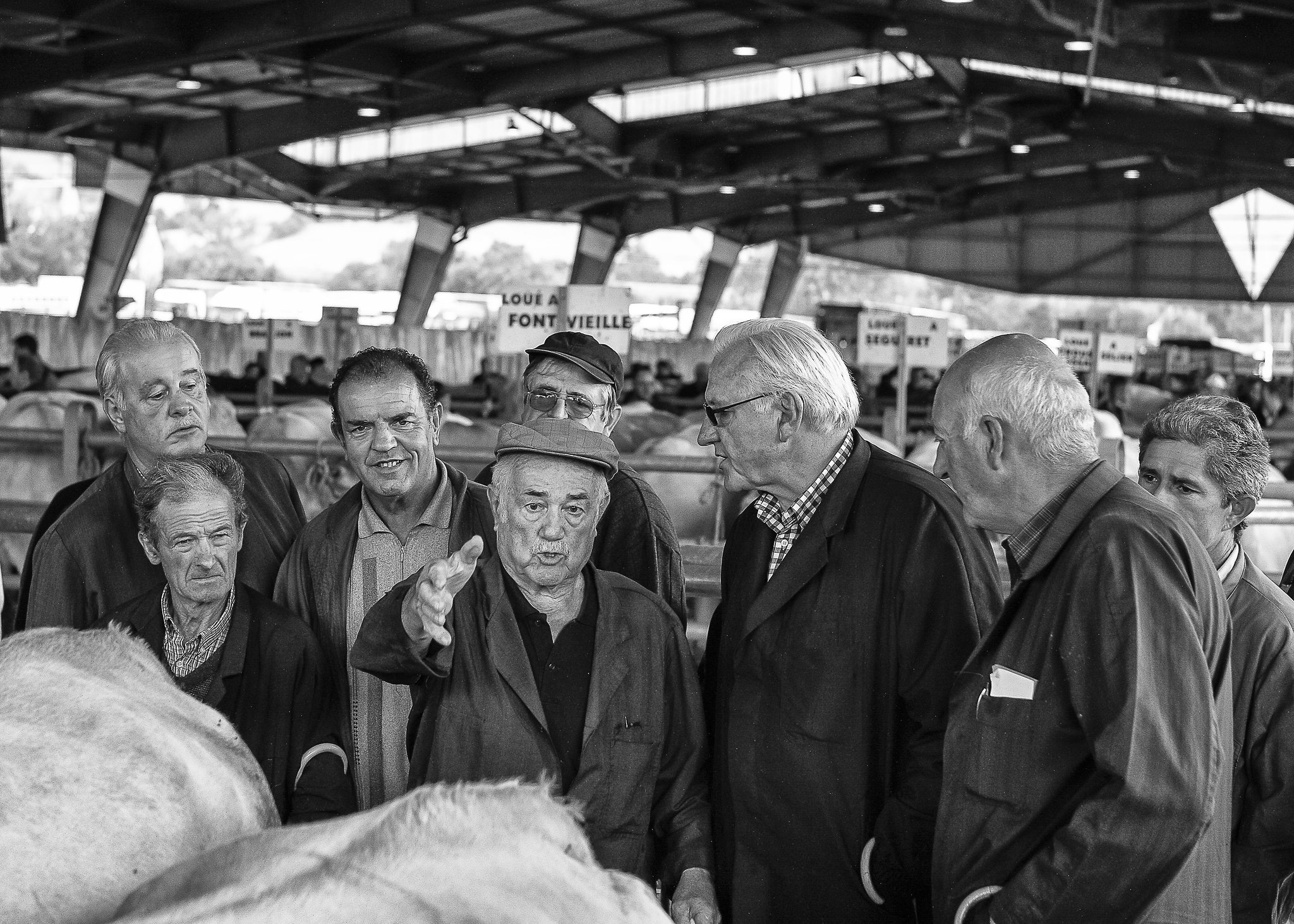 Marché aux bestiaux de Laissac