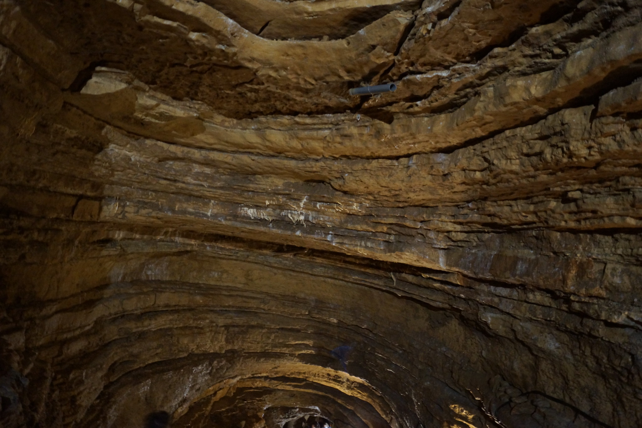 L'entrée de la grotte de Dargilan