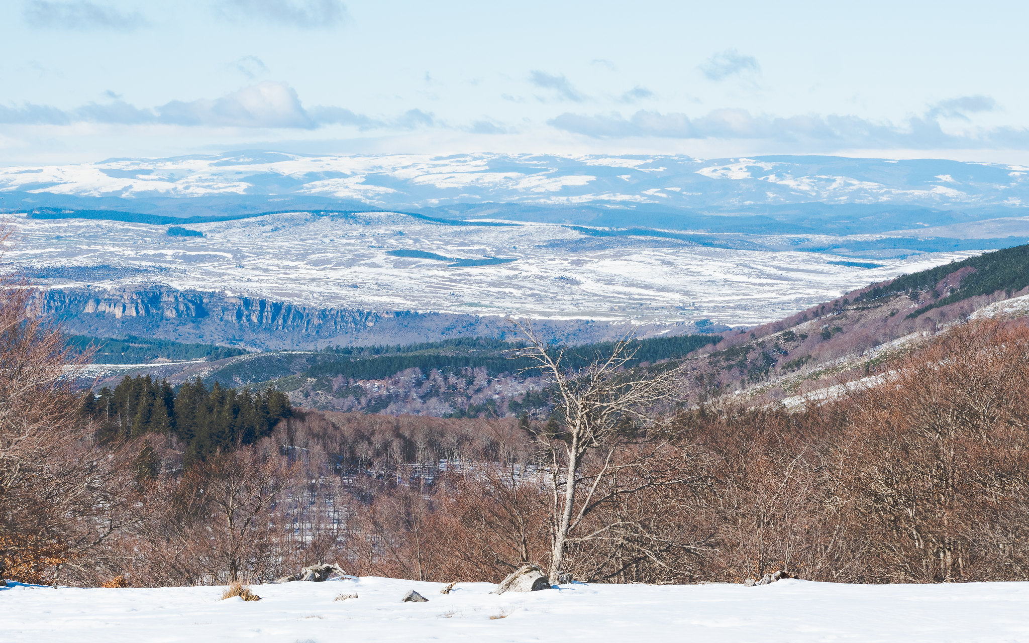 Mont Aigoual